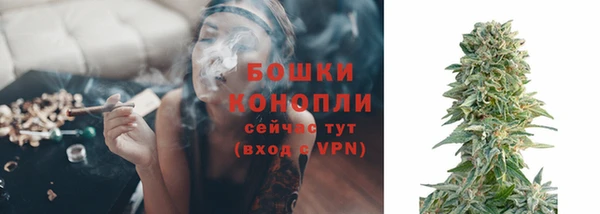 дживик Белокуриха