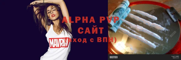 спиды Богородицк