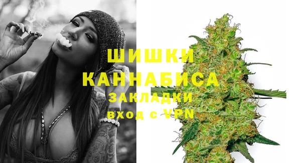 дживик Белокуриха