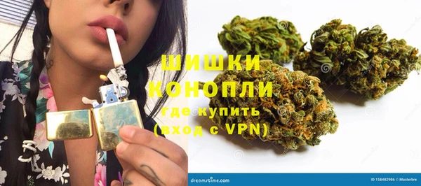дживик Белокуриха