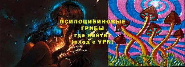 дживик Белокуриха