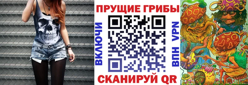 Галлюциногенные грибы Psilocybine cubensis  Болотное 
